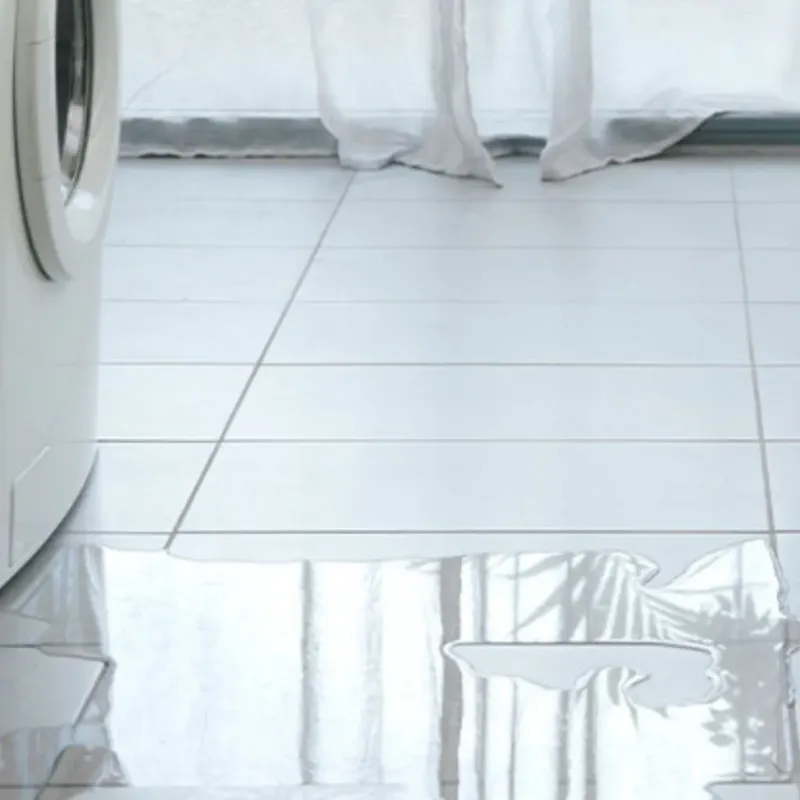 Appliance Leak Cleanup in Omak, WA